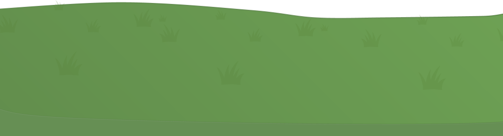 Grass